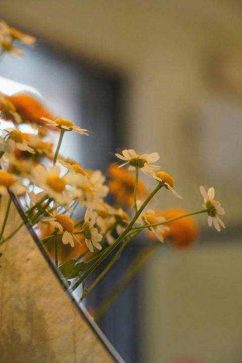 Fresh bouquet