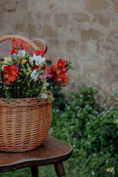 Seasonal stems