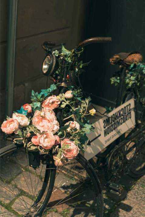 Blush pink rose posy