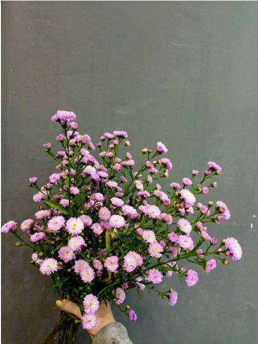 Arrangement placed at service
